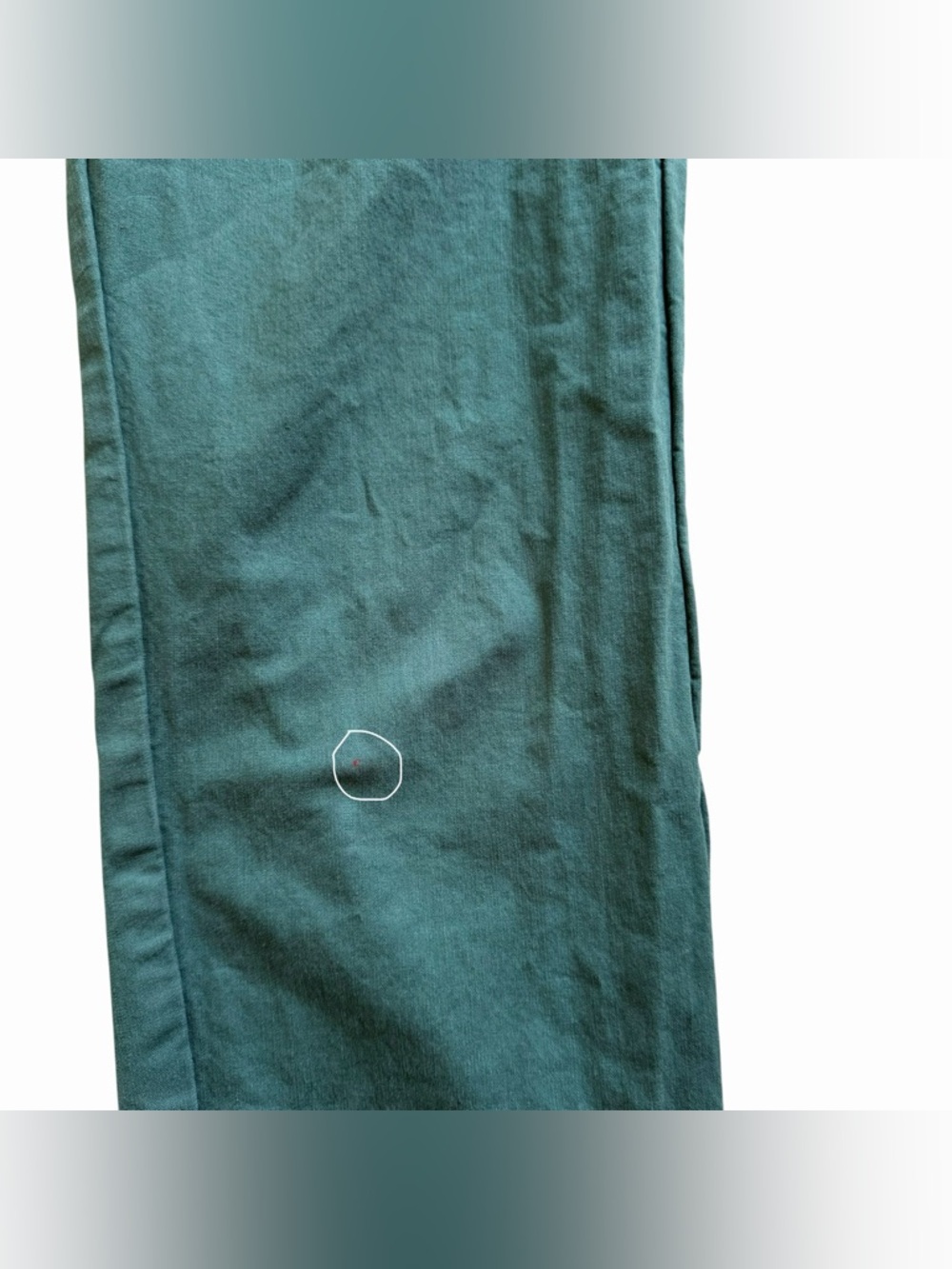 Pact Women's Ankle Pants in Teal with Yellow Cuff Detail - Picture 8 of 8